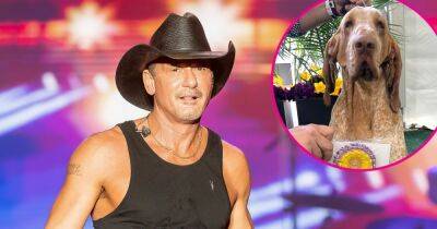 Tim McGraw Is ‘So Proud’ of Dog Lepshi for Winning ‘Best in Breed’ at Westminster Kennel Club Dog Show - www.usmagazine.com - Italy - New York - county Queens