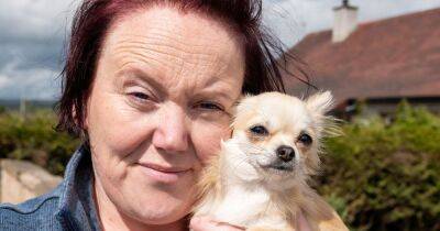Disabled mum slams Highland Wildlife Park after emotional support dog refused entry - www.dailyrecord.co.uk - Britain - county Keith