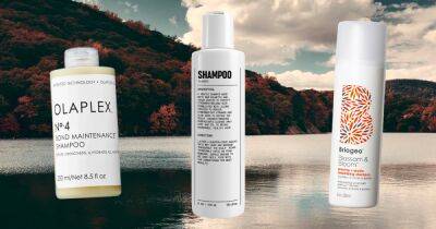 25 Best Shampoos for Every Hair Type - www.usmagazine.com