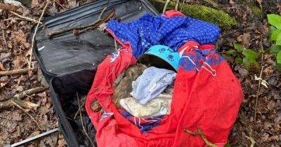 Dog with 'nasty injuries' found dead and dumped in a suitcase in a ditch - www.manchestereveningnews.co.uk - county Luna - Manchester