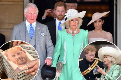 Camilla ‘alienated’ Harry from Charles, ‘things look pretty bleak’: source - nypost.com