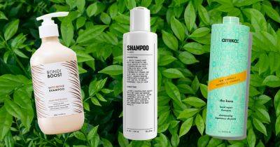 10 Best Shampoos for Breakage in 2023 - www.usmagazine.com