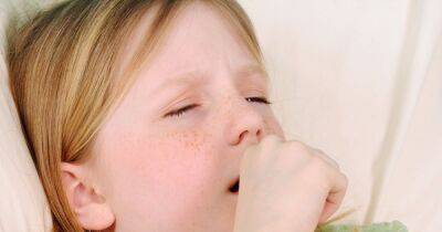 Tell-tale signs your child might have asthma as nurse issues warning - www.dailyrecord.co.uk - Britain
