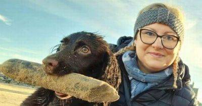 Scots dog owner devastated after snake bite kills puppy during walk - www.dailyrecord.co.uk - Scotland - county Lee - city Aberdeen
