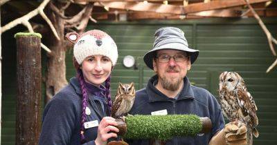West Lothian attraction named best day out in Scotland - www.dailyrecord.co.uk - Scotland - Centre