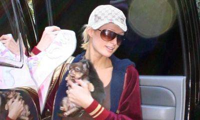 Paris Hilton mourns the loss of her 23-year-old chihuahua Harajuku - us.hola.com