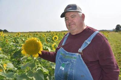 David Brandt, farmer behind viral ‘it’s honest work’ meme, dies in car crash - nypost.com - Vietnam - Ohio - county Lancaster - county Eagle