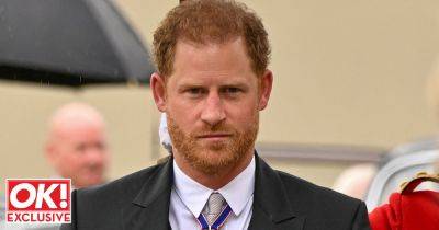Harry 'should be proud' of William's environmental work - and ditch private jets - www.ok.co.uk