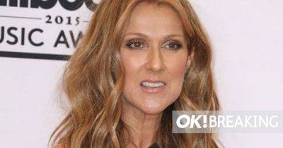 Celine Dion cancels entire tour amid health battle but says she’s ‘not giving up' - www.ok.co.uk