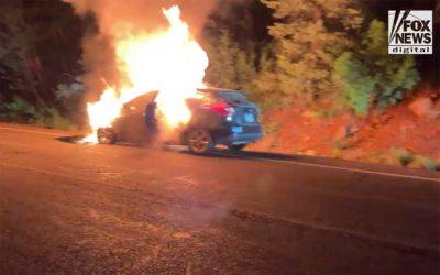 Arizona Man Saves Two Toddlers From Burning Vehicle Just Moments Before It Explodes! - perezhilton.com - South Korea - Arizona