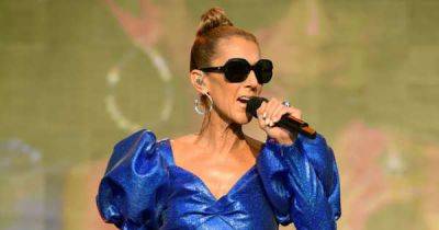 Celine Dion cancels entire world tour after incurable diagnosis - 'Breaks my heart' - www.msn.com - Paris - city Stockholm - Dublin - Berlin - city Amsterdam - county Love