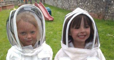 Crossmichael and Parton Playgroup celebrate National Bee Day - www.dailyrecord.co.uk