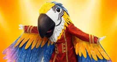 Who is Macaw on 'The Masked Singer' Season 9? Clues, Guesses, & Spoilers Revealed! - www.justjared.com - Britain - California - Mexico