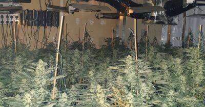 Two men arrested after police unearth huge suspected cannabis farm - www.manchestereveningnews.co.uk - Manchester
