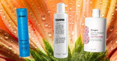 22 Best Shampoos and Conditioners for Dry Hair - www.usmagazine.com