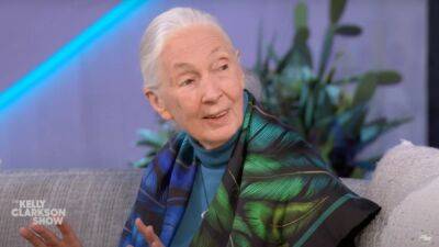 Jane Goodall Remembers Tarzan Making Her Fall in Love With Wildlife: ‘I Was Very Jealous — He Married the Wrong Jane’ (Video) - thewrap.com - county Love
