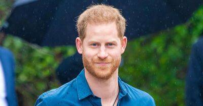What Is Prince Harry’s Net Worth? A Breakdown of His Royal Inheritance, Family Income and Solo Earnings - www.usmagazine.com
