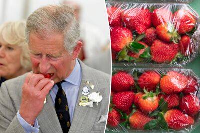 King Charles’ strange food phobias revealed before coronation: ‘He shrieked’ - nypost.com - Britain