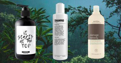 The Best Natural Shampoos and Conditioners - www.usmagazine.com