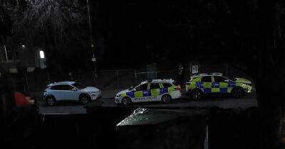 Man charged in connection with alleged hit-and-run in Edinburgh park - www.dailyrecord.co.uk - Scotland - Beyond