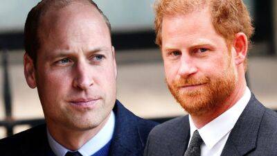 Prince Harry and Prince William to Reunite at King Charles' Coronation: Inside Their Royal Rift - www.etonline.com