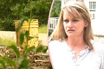 Arkansas Woman Claims Neighbors Poop In Buckets & Dump It In Others' Yards! - perezhilton.com - Kentucky - state Arkansas - county Clinton - city Little Rock