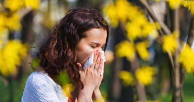 Hay fever sufferers get warning as high pollen levels to hit UK - www.manchestereveningnews.co.uk - Britain - Manchester