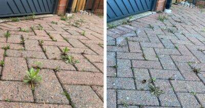 I made the 68p solution declared 'the best weed killer ever' and it worked wonders - www.manchestereveningnews.co.uk - Manchester