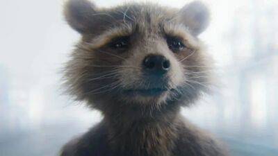 PETA Hails ‘Guardians of the Galaxy Vol. 3’ for ‘Unflinching Advocacy’ of Animal Rights - thewrap.com