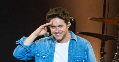 Niall Horan reveals the two actors he'd want to play him in a 1D biopic - www.msn.com - Canada