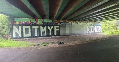 'Not my f***ing King' graffiti on Fallowfield Loop to be removed, council confirms - www.manchestereveningnews.co.uk - Manchester
