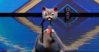 BGT fans fuming as Noodle the CGI cat's identity is revealed as previous finalist - www.ok.co.uk - Britain - USA