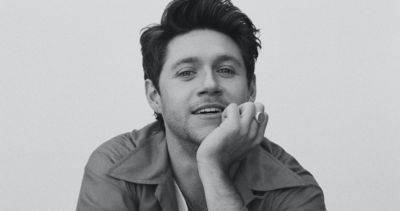 Niall Horan's Official Top 20 biggest songs in the UK: Slow Hands, Heaven and more hits - www.officialcharts.com - Britain - county Hand