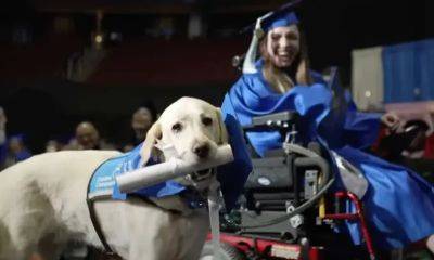 Pet of the week: This service dog received his own diploma at owner’s graduation ceremony - us.hola.com - New Jersey - city Newark