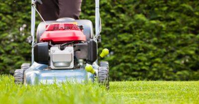 Gardening expert warns of grass cutting mistake that can 'destroy' lawns - www.dailyrecord.co.uk