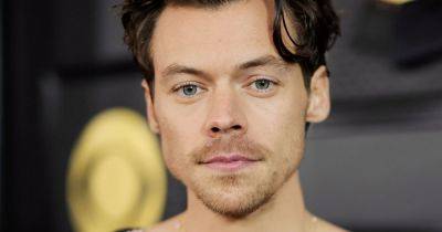 Harry Styles stops live show so pregnant woman can go to the toilet and not miss set - www.ok.co.uk