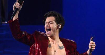‘Do You Need to Go for a Wee?’: Harry Styles Stalls ‘Love on Tour’ Show for Pregnant Fan to Use the Bathroom - www.usmagazine.com - London