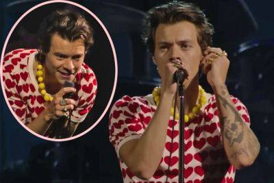 Harry Styles PAUSED His Concert So A Pregnant Fan Could Use The Bathroom! Watch! - perezhilton.com