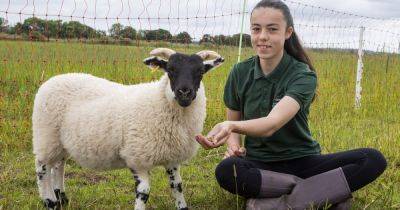 Scots girl who had 'never seen a squirrel' now in training to become shepherdess - www.dailyrecord.co.uk - Scotland
