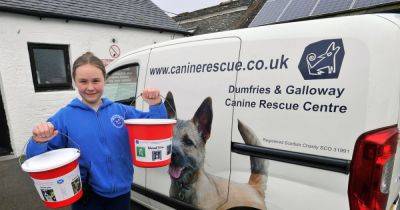 Every dog will have its day at Dumfries rescue centre fun day this weekend - www.dailyrecord.co.uk
