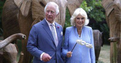 Queen Camilla steps out in stunning two piece outfit with £46,900 diamond earrings - www.dailyrecord.co.uk