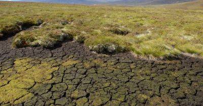 Scotland drought alert as more areas hit 'highest possible' scarcity levels - www.dailyrecord.co.uk - Scotland - Beyond