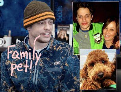 Pete Davidson Slams PETA In Vicious Voicemail Over New Puppy Purchase For His Family! Listen! - perezhilton.com