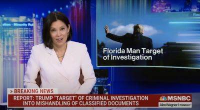 ‘Alex Wagner Tonight’ Refers to Trump Simply as ‘Florida Man’ in Chyron About Investigation (Video) - thewrap.com - New York - Florida - Beyond