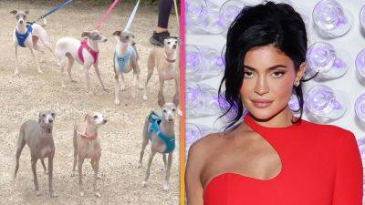 See Kylie Jenner's Entire Pack of Italian Greyhounds - www.etonline.com - Italy