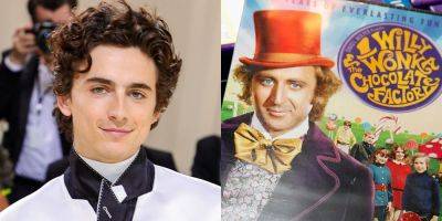 Timothee Chalamet's 'Wonka' Role: 4 Other Stars Were In Contention to Play the Whimsical Chocolate Factory Owner! - www.justjared.com