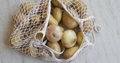 Handy onion storage solution that keeps vegetables fresh for up to six months - www.dailyrecord.co.uk - Beyond