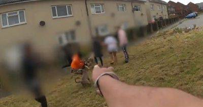 Bodycam footage captures moment police taser out of control dog - www.dailyrecord.co.uk - Scotland - city Coventry - Beyond