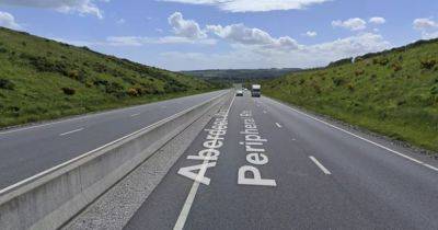 Puppy found dead on A90 after being hit by vehicle as cops launch probe - www.dailyrecord.co.uk - Scotland - Beyond