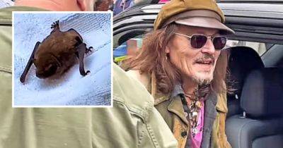 Johnny Depp's Hollywood Vampire band meet their match after bat encounter at Glasgow hotel - www.dailyrecord.co.uk - Scotland